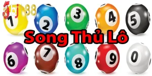 Ảnh đại diện song thủ lô