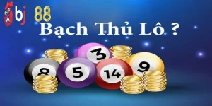 Avatar bạch thủ lô