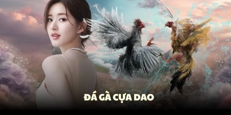 Đá gà BJ88 cựa dao hấp dẫn