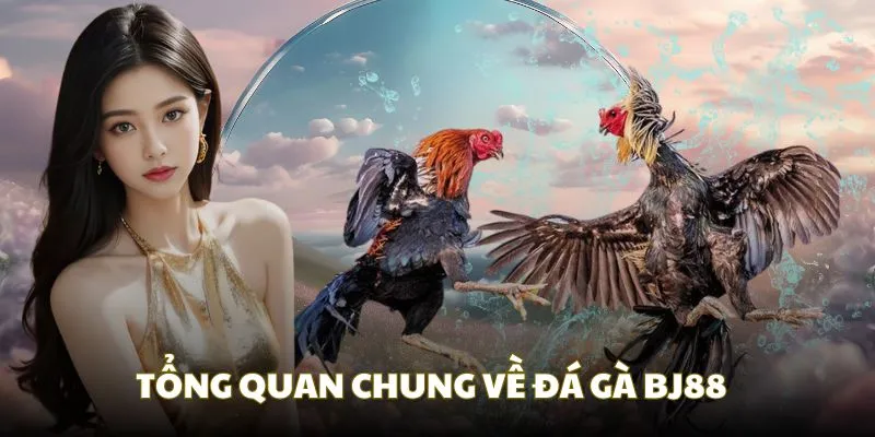 Tổng quan về trang cược đá gà BJ88