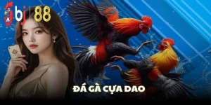 Đá gà cựa dao bj88 ảnh đại diện