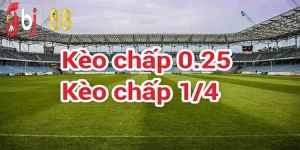 Ảnh đại diện kèo chấp 0.25