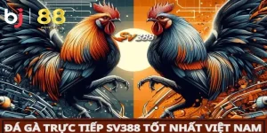 Sảnh sv388