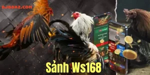 Sảnh Ws168