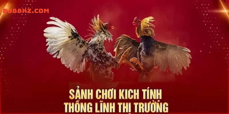 Sảnh Ws168 đấu trường hàng đầu